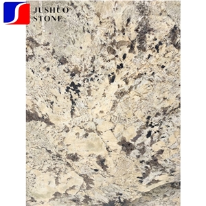 Indian Quarry Alaska White Granite with Cheap Price Countertop Usage