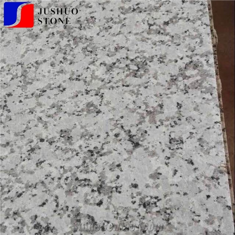 New G602,Grey Sardo Stone,China New Bianco Sardo Granite Tile Slab