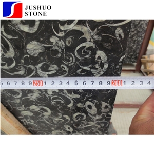 Own Factory Price Black Fossil,Sea Shell Marble with Art Flower Slab