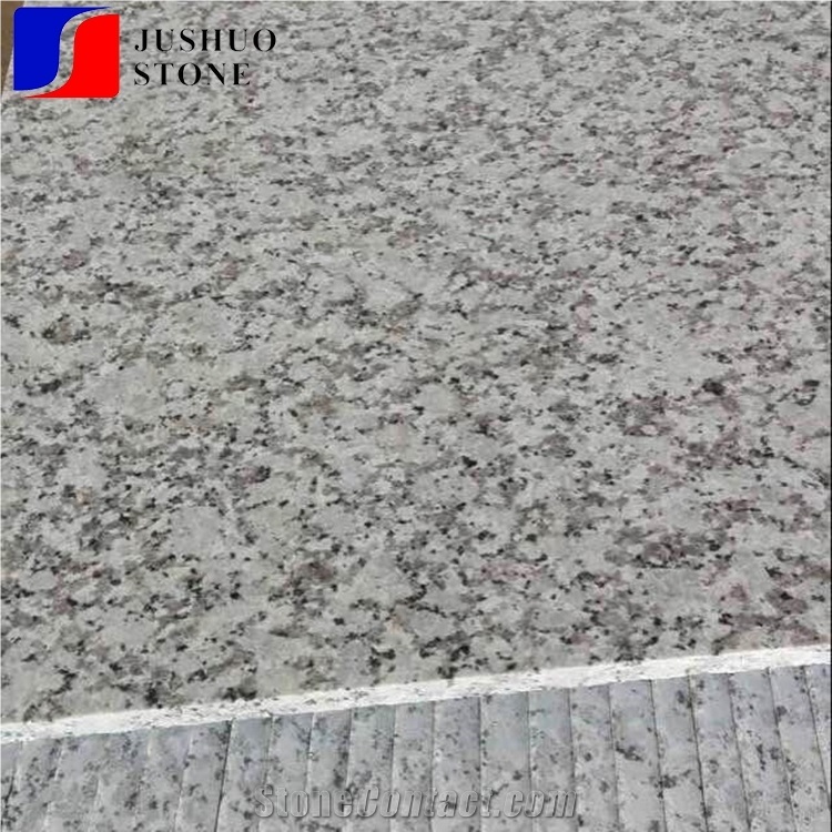 Padang White China Grey Sardo,Mayflower Snow,Nanan Mayflower Granite