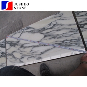 Polished Arabescato Corchia Classico Marble Tile for Building Material