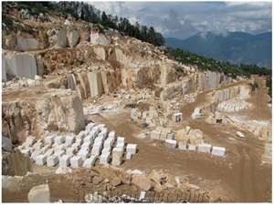 Factory Price Limra White Limestone Panel Tile Slab,Turkey White Lymra Coral Stone