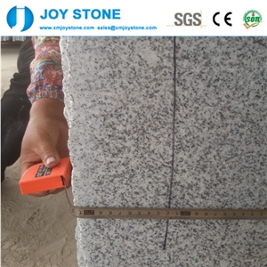 Cheap Polished Crystal White G603 Granite Wall Covering Tiles Slabs