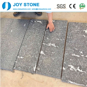 High Quality Black Snowflake Granite 60x60 Floor Tile Price