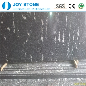 High Quality Black Snowflake Granite 60x60 Floor Tile Price