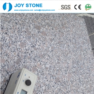High Quality Polished G383 Pearl Flower Granite 30x30 Wall Tiles Stone