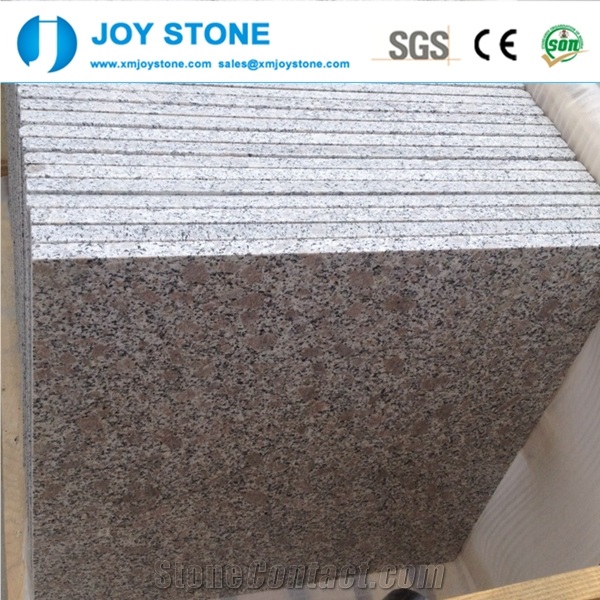 High Quality Polished G383 Pearl Flower Granite 60x60 Floor Tiles