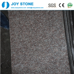 New Model China Polished Pink 60x60 Granite G687 Floor Tile