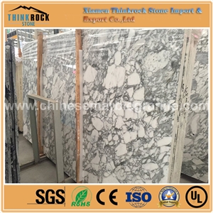 Alternative Polished Arabescato White Marble Wall Coverings