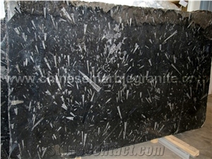 Solid Surface Black Fossil Sea Shell Black Marble Wall Covering Tiles