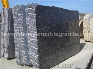 Solid Surface Black Fossil Sea Shell Black Marble Wall Covering Tiles