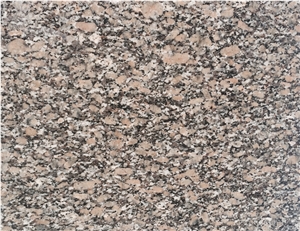 China Giallo Fiorito Granite,Yellow Granite/China Yellow Granite Slabs