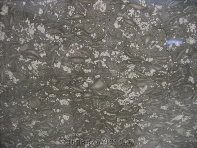 Pandora Grey Marble Slab, Pandora Marble Tiles, China Marble Slabs