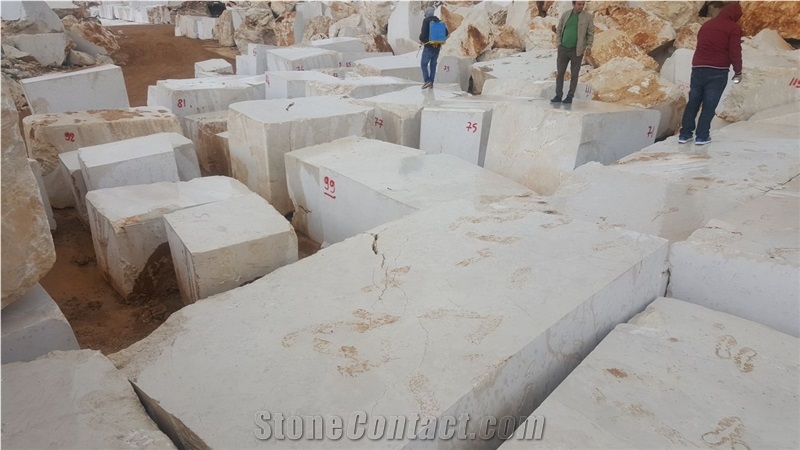Antalya Beige with Fossils Marble Block