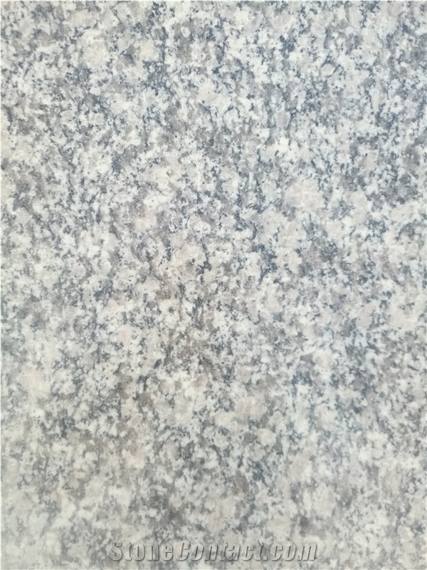 New Bianco Sardo Sesame White Walkway Pavers Grey White G602 Granite