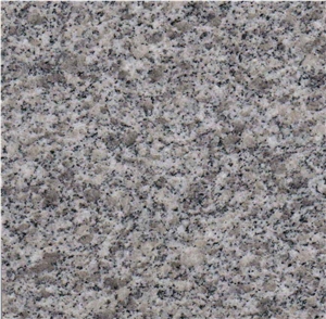 New Bianco Sardo Sesame White Walkway Pavers Grey White G602 Granite