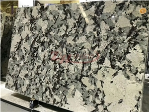 Bianco Antico Granite Silver Fox Granite Slabs for Countertop