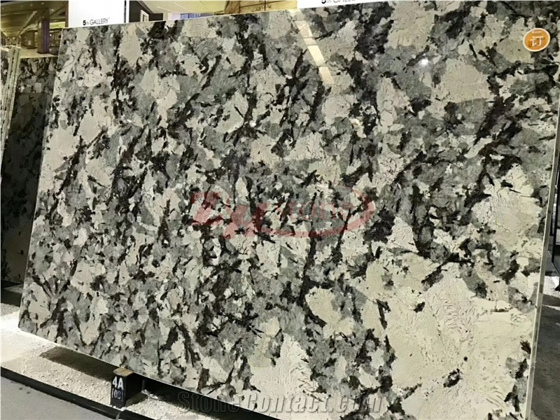 Snow Mountain Silver Fox Granite White Granite Slabs