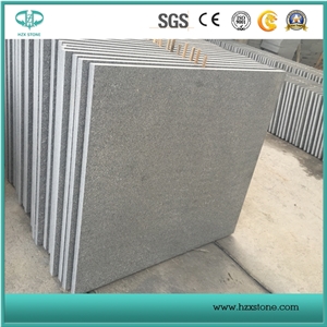 China New G603 Granite Slabs/Tiles for Sale