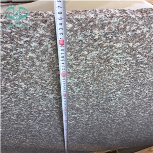 G664 Gangsaw Granite Cut to Size, Steps and Stairs Hot Selling