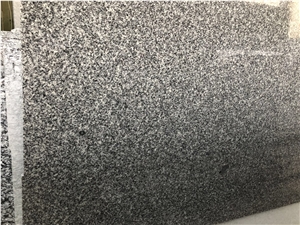 Chinese New G654 Granite Big Slabs