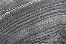 Polished Cheap China Black Wood Vein Marble Antique Slab and Tilegrade
