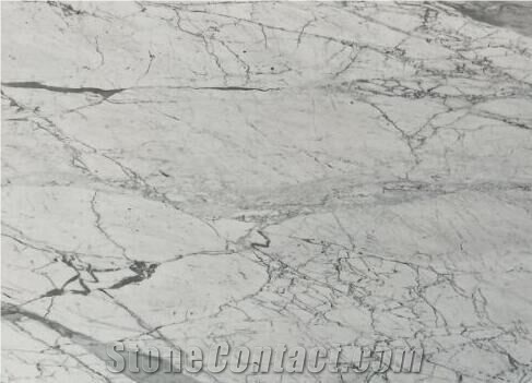 White Marble Statuario Classic Slabs & Tiles High Quality & Good Price