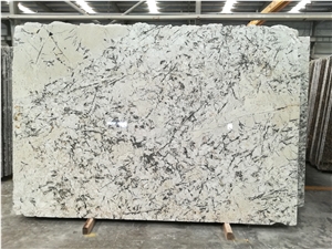Whit Stuff Granite with Cool Flower Slab & Tile/White Stuffe Granite