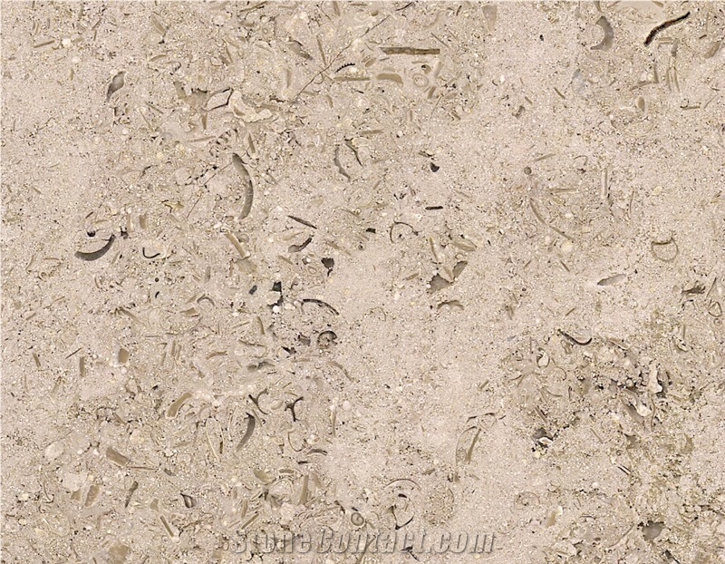 Fossil Oro Marble Tiles & Slabs