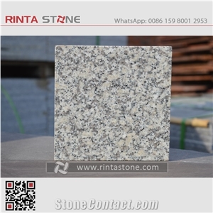 Cinza Andorinha Granite G602 Friburgo Deer Isle Dahab Stanstead White