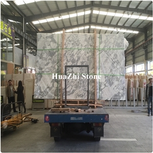 Italian Polished White Arabescato Carrara Marble for Interior Wall