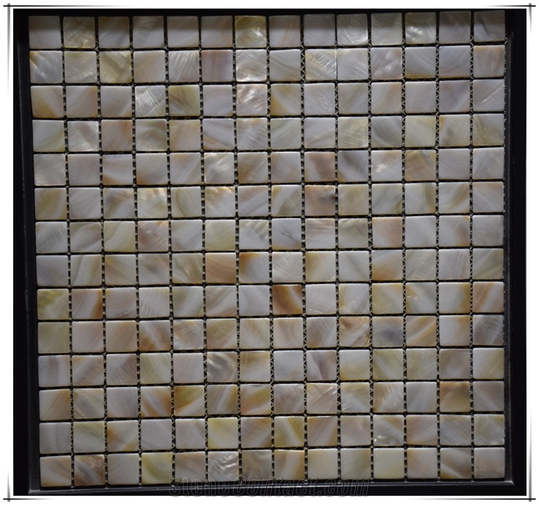 Natural Shell Mosaic for Flooring Wall Tile Swimming Pool