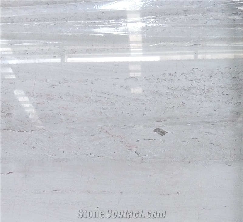America Shell Grey Marble for Residention Floor and Wall Tiles