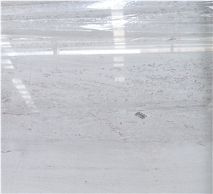 America Shell Grey Marble for Residention Floor and Wall Tiles