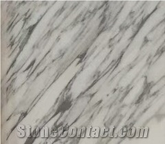 Arabescato Cervaiole Marble Slab for Wall and Floor Covering
