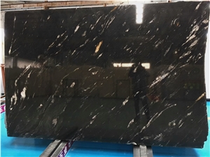 Black Cosmic Gold Granite for Wall Tile Floor Covering Countertops
