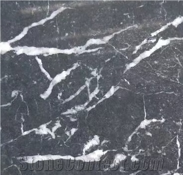 Black with White Line Veins Marble Tiles for Wall and Floor Covering