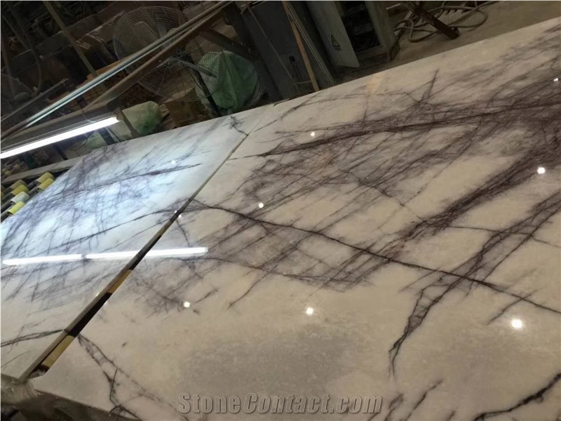 China Factory Italy Ice Jade Marble Slabs, Breccia Stazzema for Wall Decoration