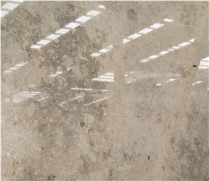 Germany Light Grey Marble Slab Wall Surface Polished