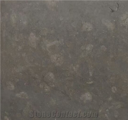 Interior Wall and Floor Covering Dark Grey Marble Slab Polished