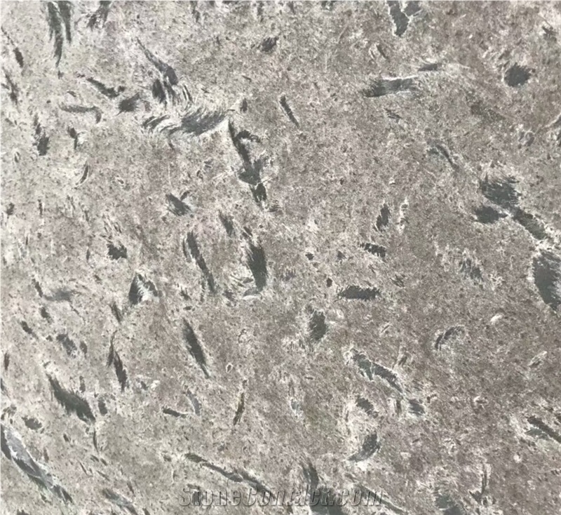 Silver Grey Granite for Tabletops/Countertop