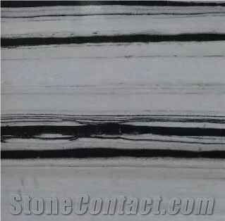 White with Black Line Veins Marble Tiles for Wall and Floor Covering