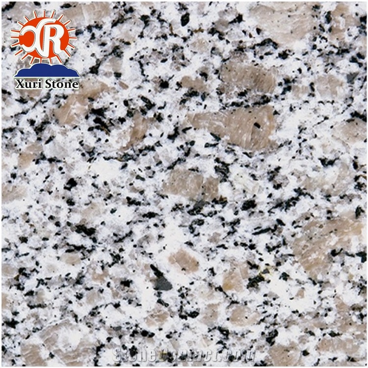 Cheap G383 Granite Shandong Grey Granite G383 Polished Big Slabs