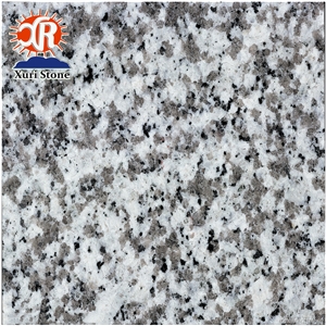 G439 Cheap Granite Slab Grey / White Tile Polished