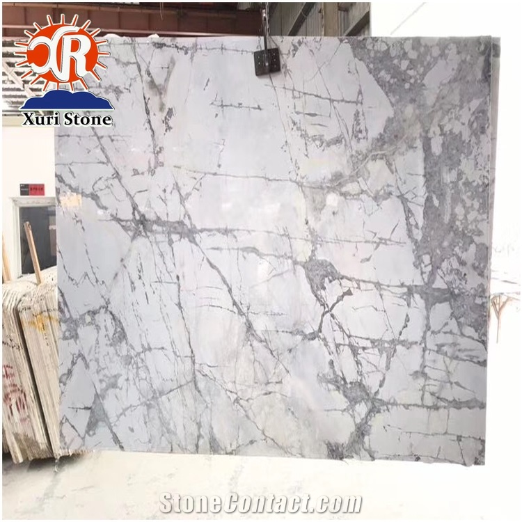 Top Quality Best Price Italian White Invisible Grey Marble Slab