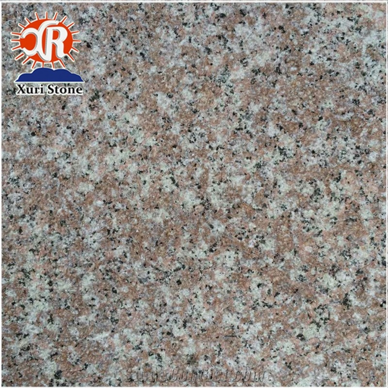 Wholesale Polished Red Granite G648 Tile and Slab Cheap Price
