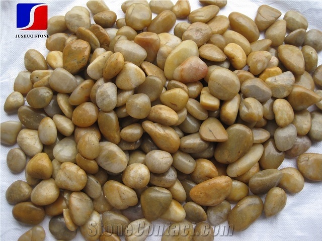 A Grade Best Quality Mixed Color Pure Polished Pebble Stone Blind Path