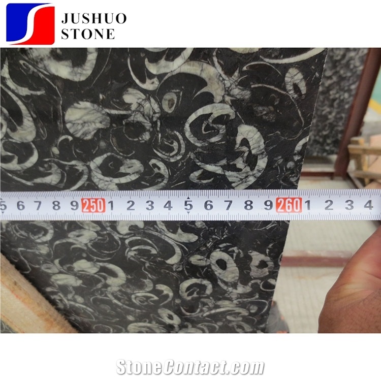 Polished Sea Shell/Peacock Eye Marble Tiles&Slab Stone for Cut to Size