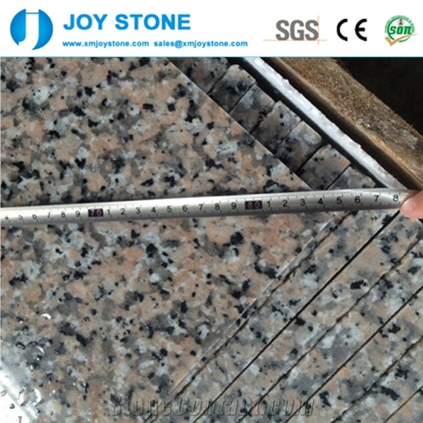 Good Quality Polished Rosa Porino Extra Granite 60x60 Granite Tiles