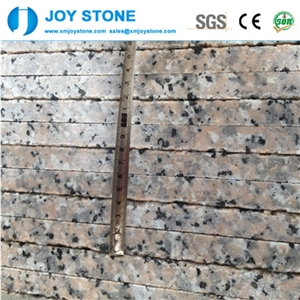 Good Quality Polished Rosa Porino Extra Granite 60x60 Granite Tiles